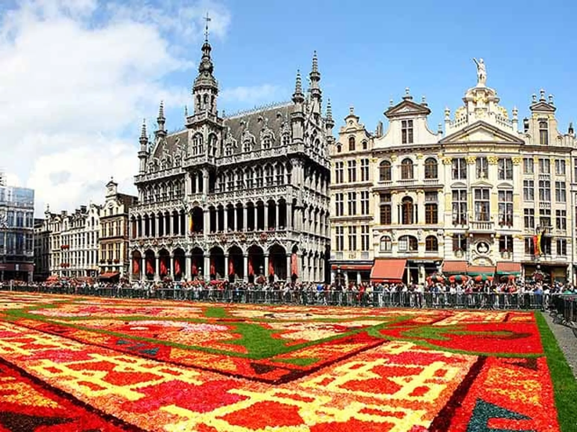 Tapiz de flores de Grand Place - Qué ver- Guía de viaje de Bruselas- Buendía Tours