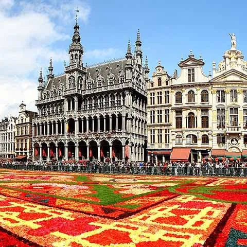 Tapiz de flores de Grand Place - Qué ver- Guía de viaje de Bruselas- Buendía Tours