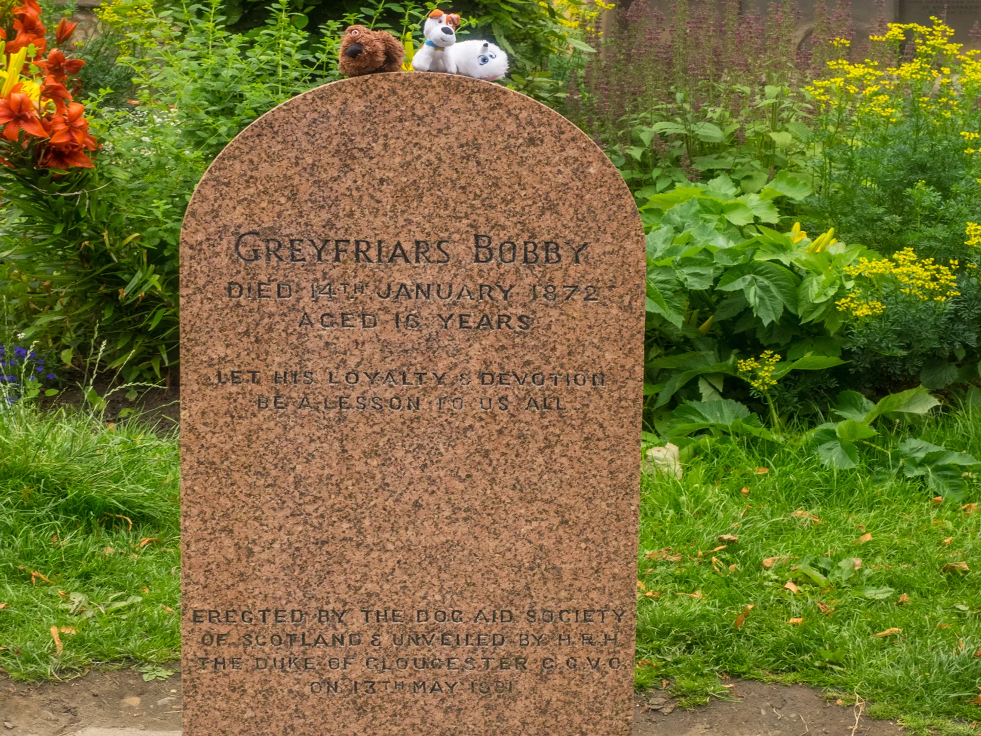 Tumba de Bobby - Greyfriars Bobby Statue - Qué ver en Edimburgo - Guía de Viaje Edimburgo - Buendía Tours