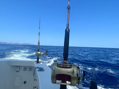 Cañas de pesca a bordo del barco que te lleva por el Mediterráneo durante esta experiencia de pesca en la isla de Mallorca.