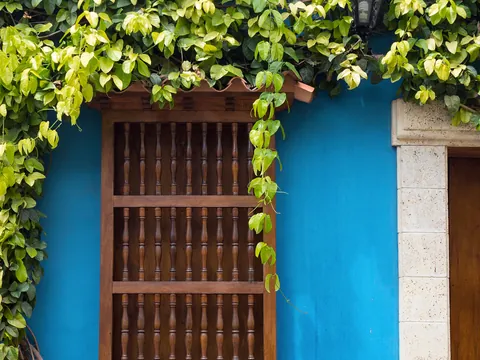 Tour privado centro histórico, Getsemaní y castillo