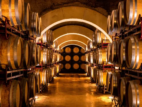 Adéntrate en una de las bodegas de vino más famosas y prueba dos de sus variedades mientras descubres las curiosidades de este vino único.