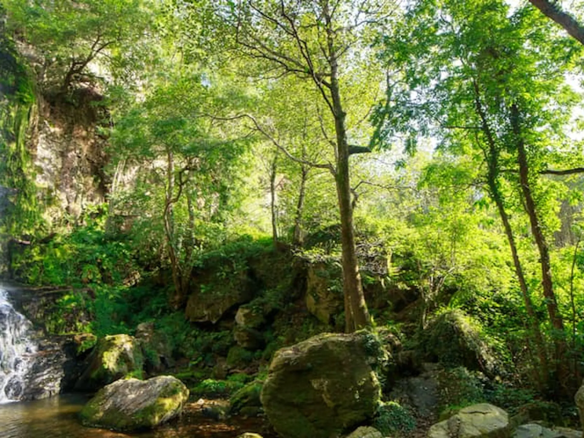 Cascada de Oneta - Una ruta por las mejores cascadas en España - Buendía