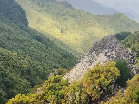 excursión 4x4 Madeira Bodegas Cata Vino Skywalk Cabo Girao Funchal
