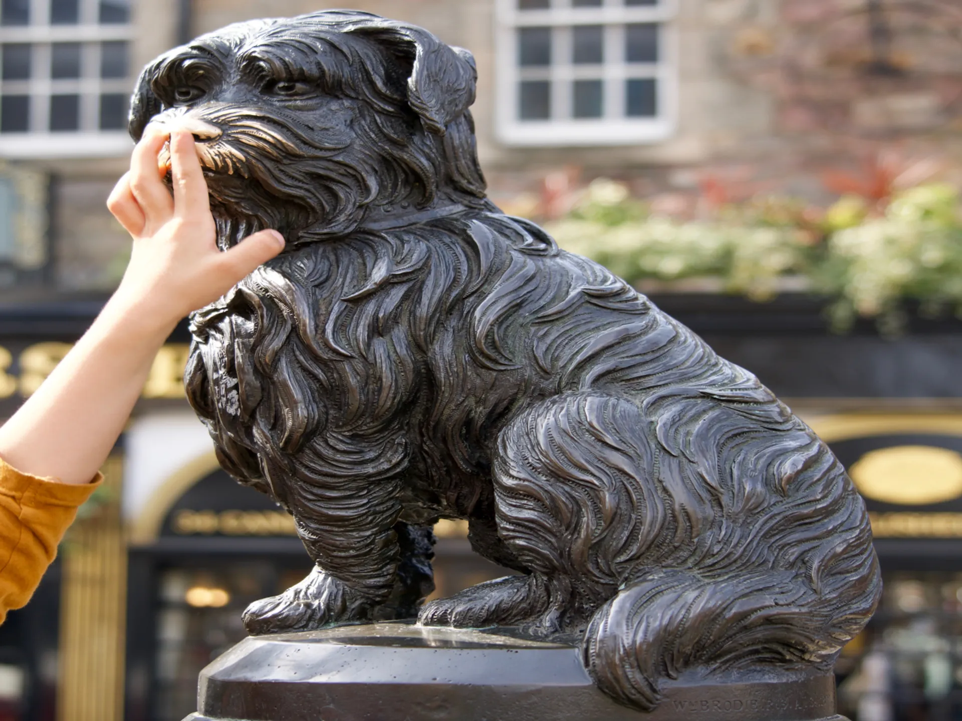 Persona tocando el hocico de Bobby - Greyfriars Bobby Statue - Qué ver en Edimburgo - Guía de Viaje Edimburgo - Buendía Tours