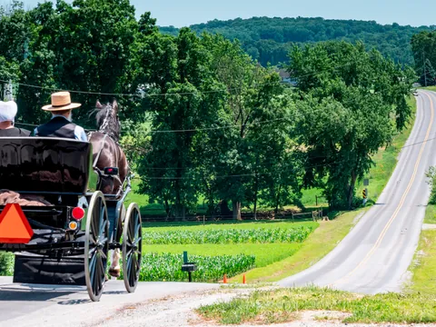 Carruaje Amish en carretera rural cerca de Filadelfia, Pensilvania