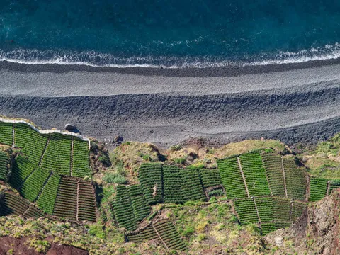 excursión 4x4 Madeira Bodegas Cata Vino Skywalk Cabo Girao Funchal