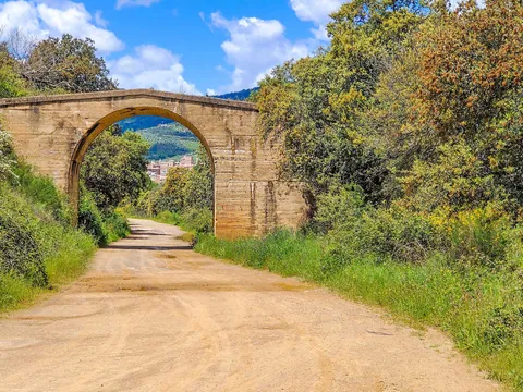 excursion-4x4-dehesa-caceres_todoterreno_extremadura_buendia (7).jpg