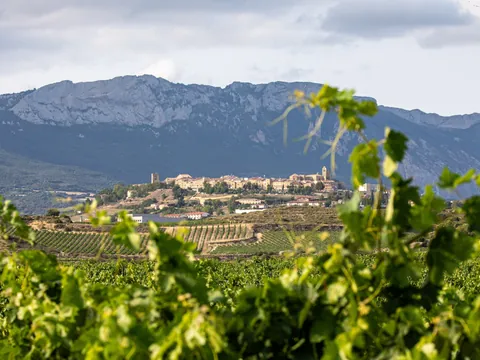 La localidad de Laguardia de fondo entre viñedos