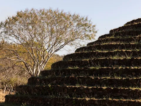 excursión Ruinas Guachimontones desde Guadalajara