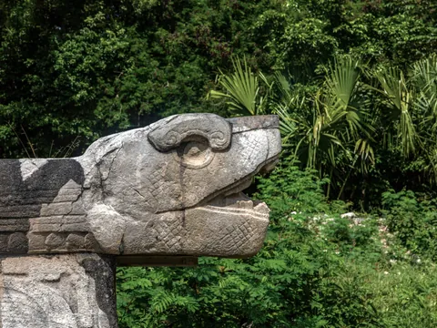 Serpiente excursión México Mayas