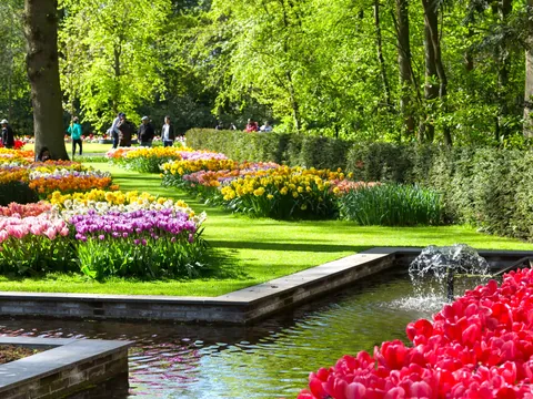 Excursión grupos reducidos parque Keukenhof desde Utrecht