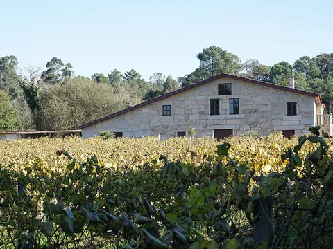 visita Cata Bodegas Corisca Uva Vides Albariño Rias Baixas Pontevedra