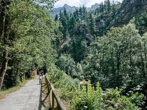 Paisaje verde, rodeado de naturaleza, de la Senda del Oso.