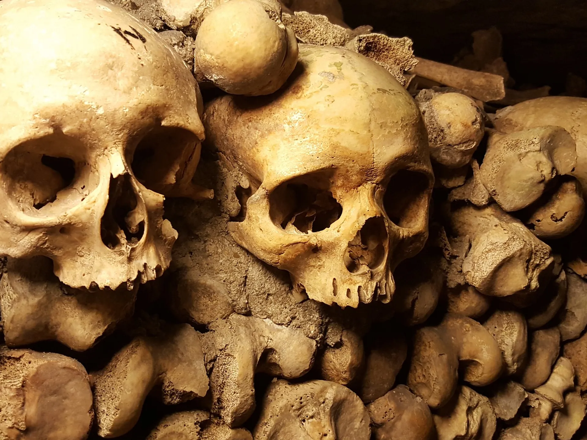 cadaveres_guia-paris-que-ver_buendiatours