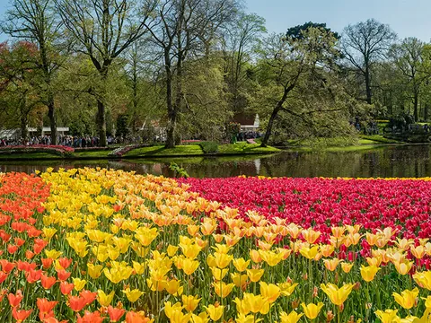 Excursión a los jardines de Keukenhof y crucero por los canales desde Ámsterdam
