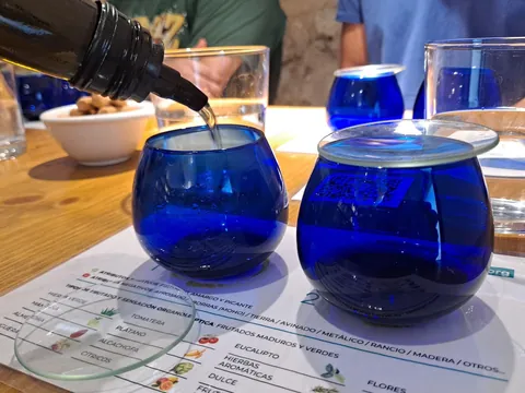 Vasos para la cata de aceites que se hace en esta visita en Oliete.