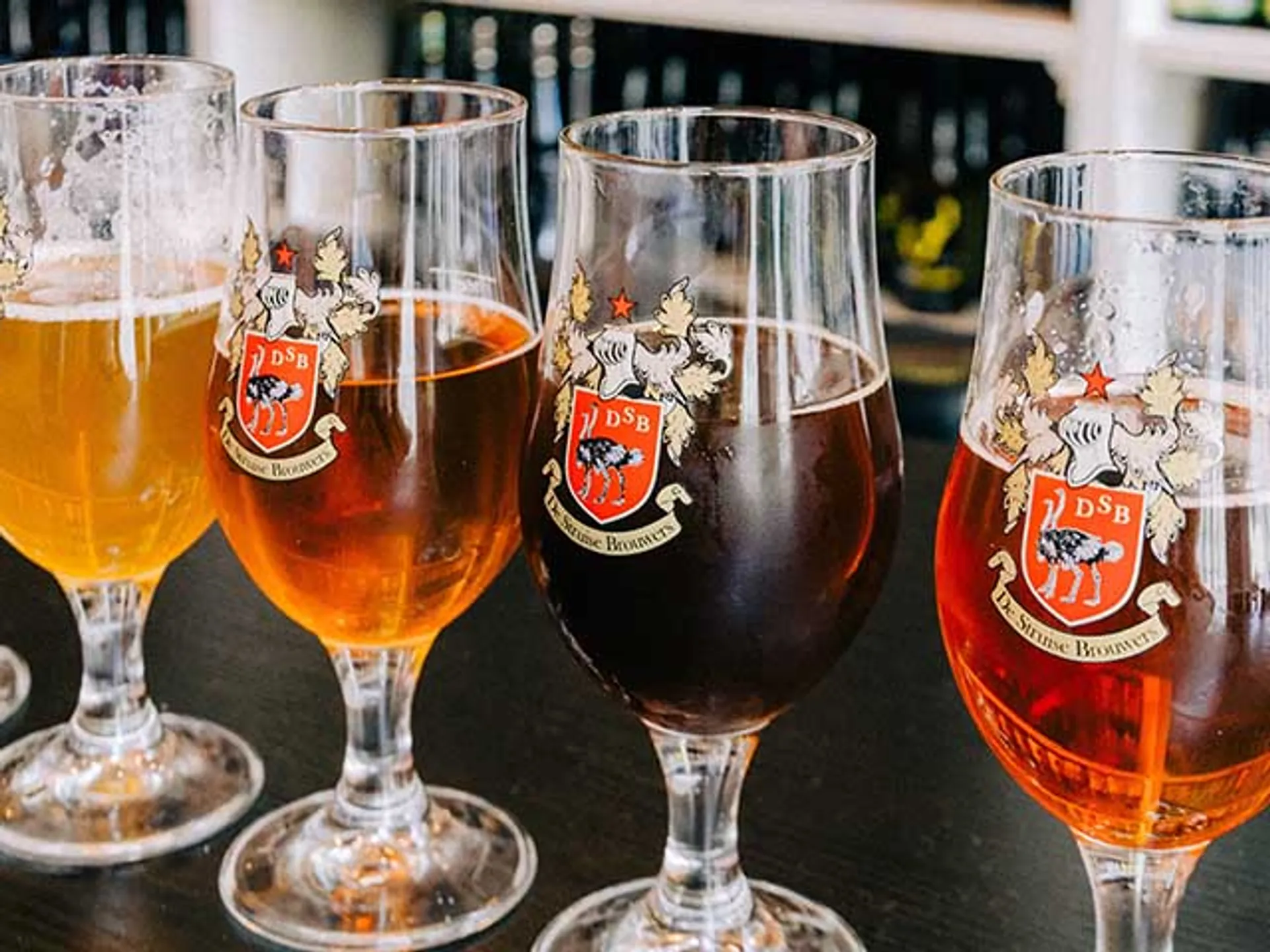 Cerveza en Brujas - Comer en Brujas - Guía de viaje Brujas - Buendía Tours