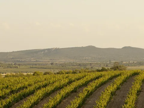Visita guiada y cata en la bodega Sierra Norte Calderón