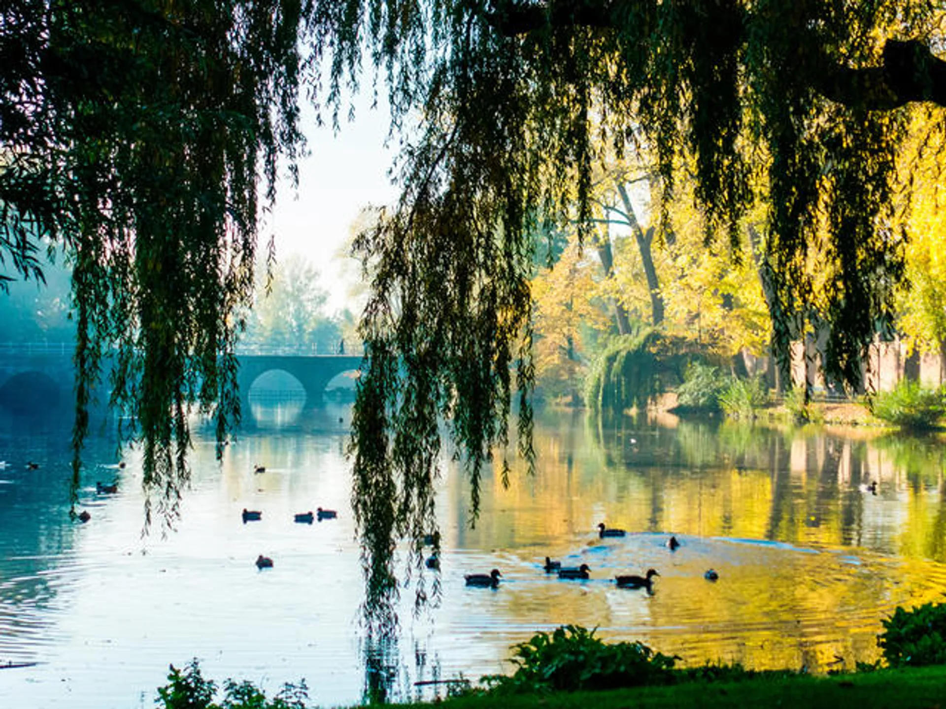 Minnewaterbrug en Minnewater - Brujas - Buendía Tours