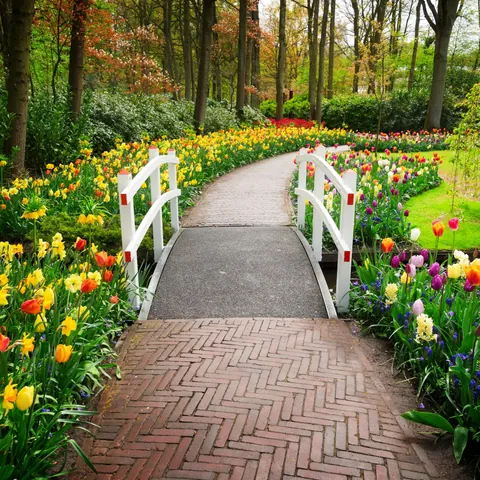 Jardines del parque Keukenhof
