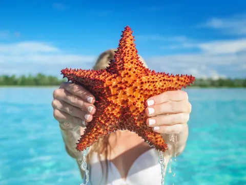 excursión isla Saona desde Punta Cana paseo en barco Estrella Mar catamarán Almuerzo República Dominicana