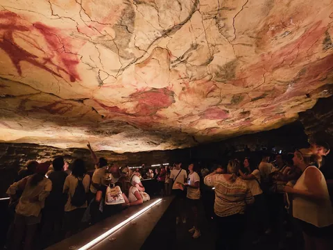 Visita guiada al Museo de Altamira