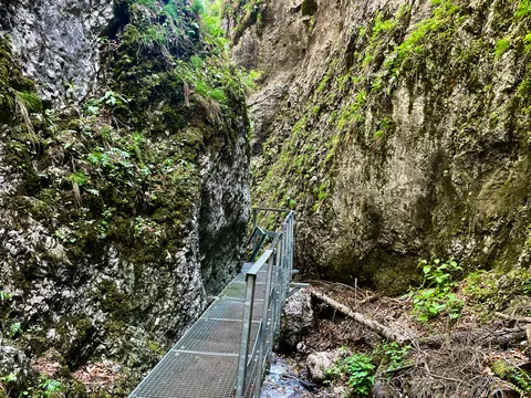El verde intenso que aparece en las formaciones rocosas añade todavía más encanto a este fenómeno natural único.