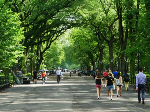 Paseo frondoso en Central Park con visitantes caminando bajo la vegetación, Estados Unidos