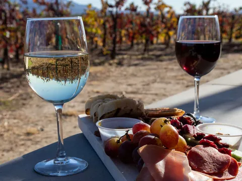 Cata Vinos Viñedo Valdevimbre visita guiada Bodegas Transporte desde León visita guiada Castilla León