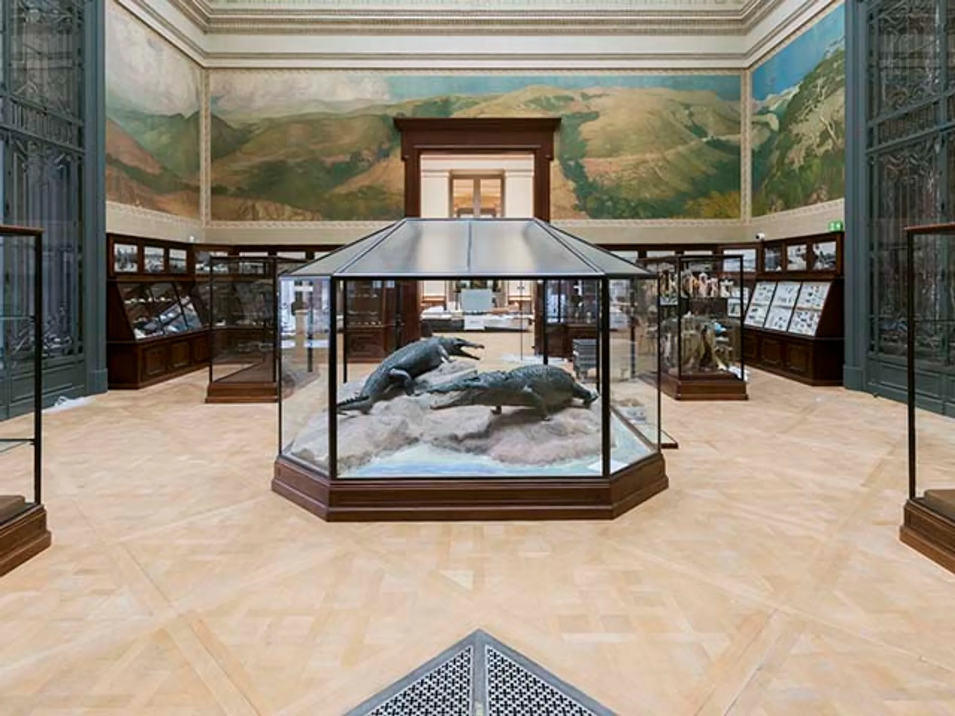 sala-cocodrilos-museo-africano-Museo-Bruselas-guía-viajes-buendiatours.jpg