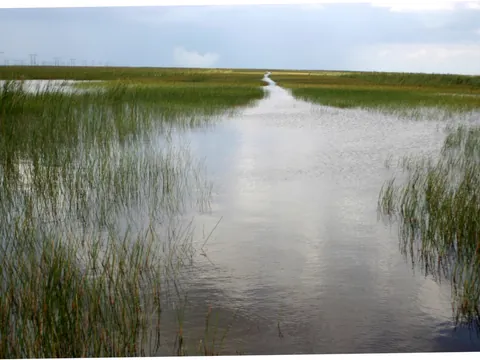 hidrodeslizador-por-everglades.JPG