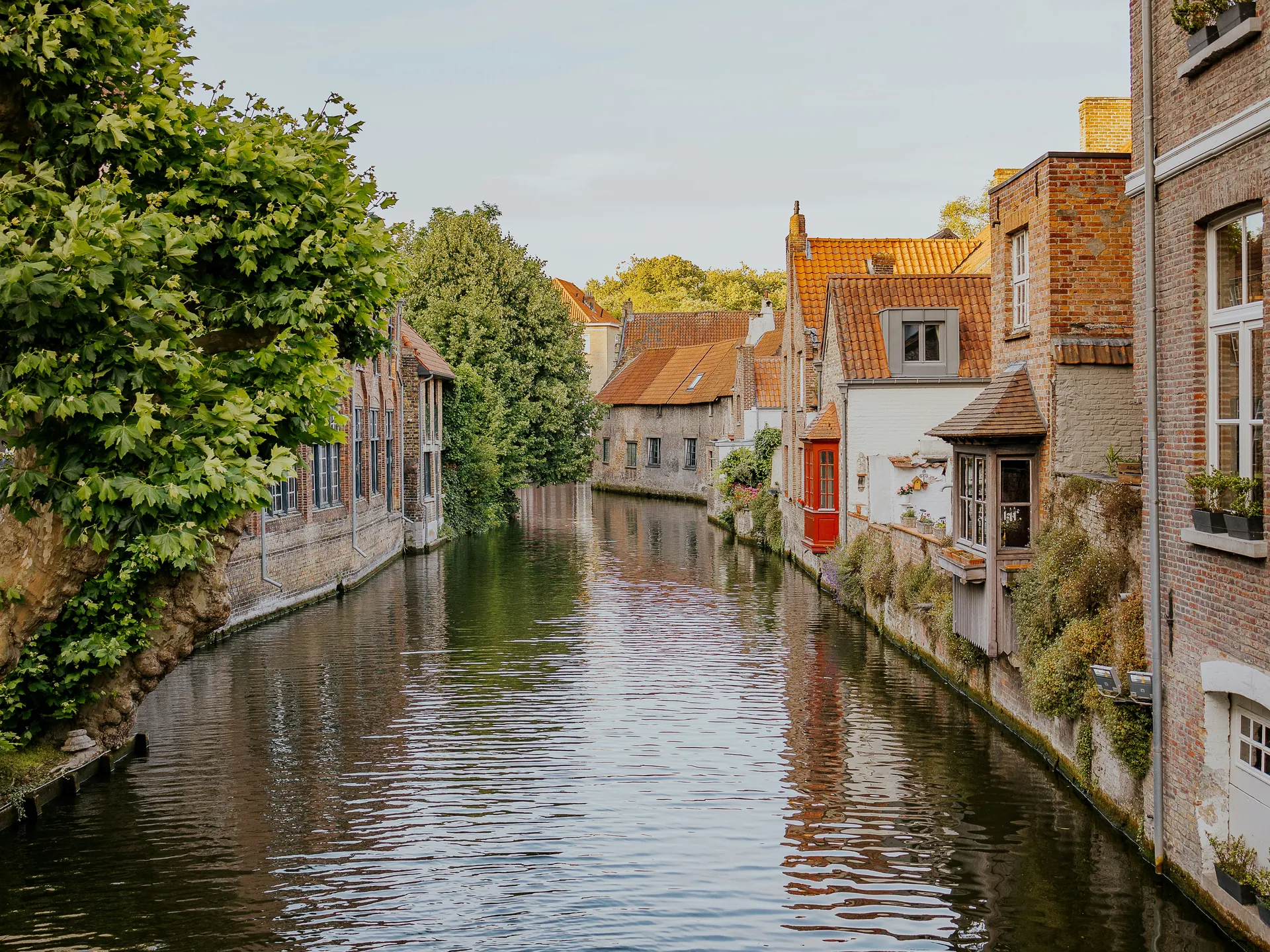 Brujas en Primavera