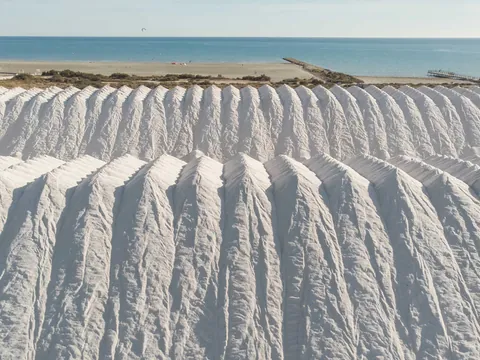 visita guiada Salinas Torrevieja