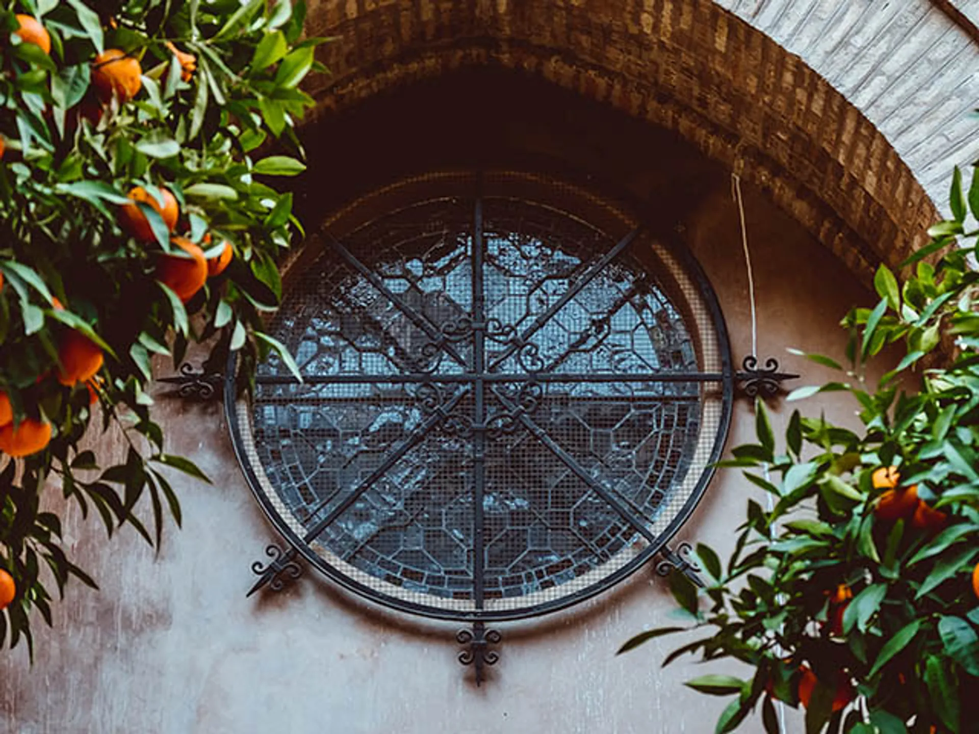 Detalle del Patio de los Naranjos-Qué ver en Sevilla-Guía de Viaje Buendiatours 