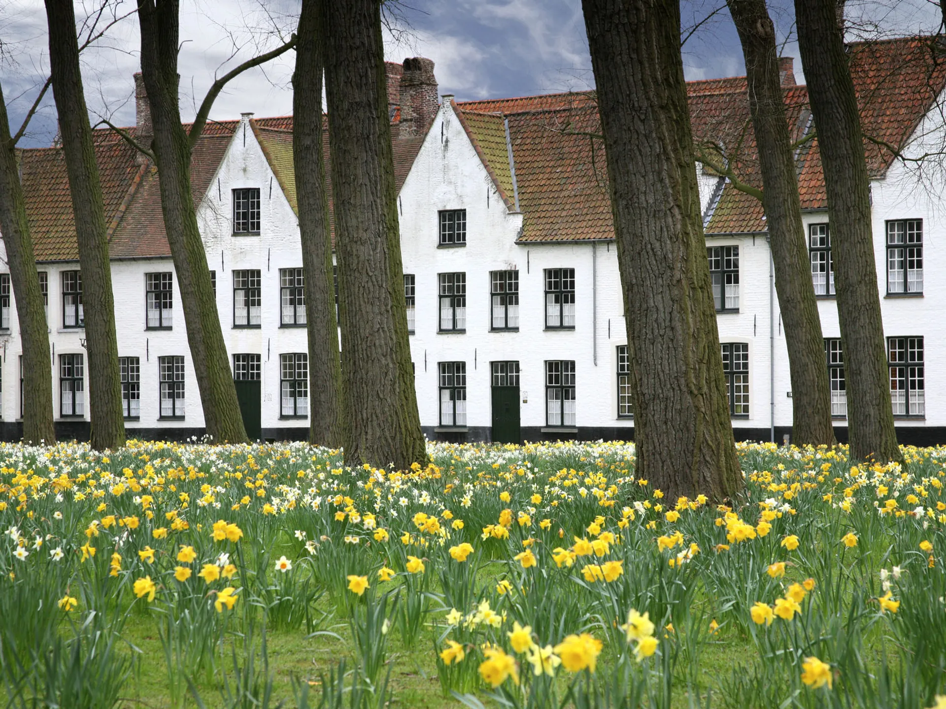 beguinario-de-brujas_1.jpg