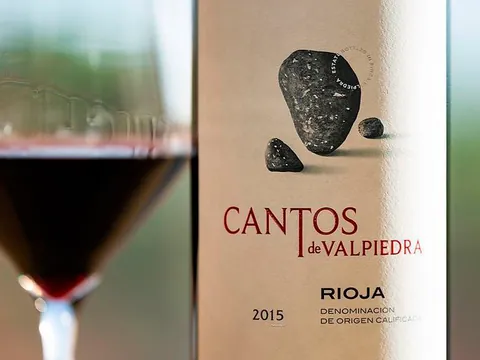 visita-cata-bodega-finca-valpiedra_logroñocata-vino_viñedo_enoturismo_la-rioja_buendia-tours (4).jpg