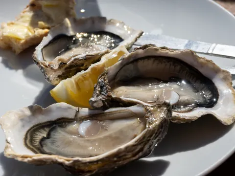 Plato de ostras frescas, parte de la gastroomía local.
