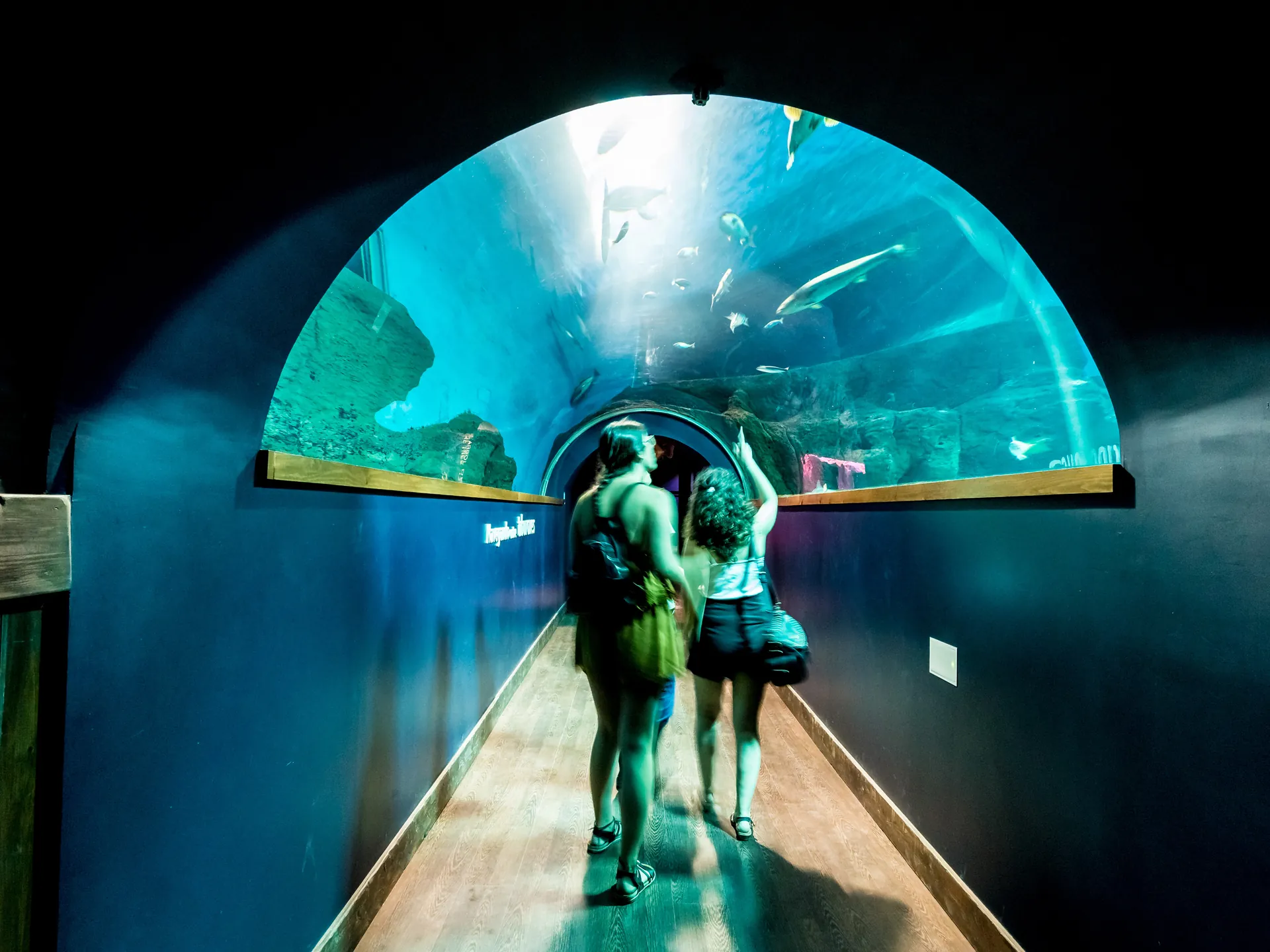 Turistas en el interior del Aquarium de Sevilla