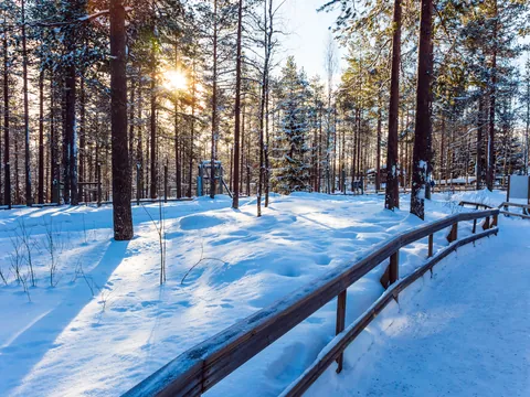 Bosque nevado con árboles altos y sol filtrándose entre las ramas, creando un paisaje invernal iluminado, típico de regiones árticas como Laponia.