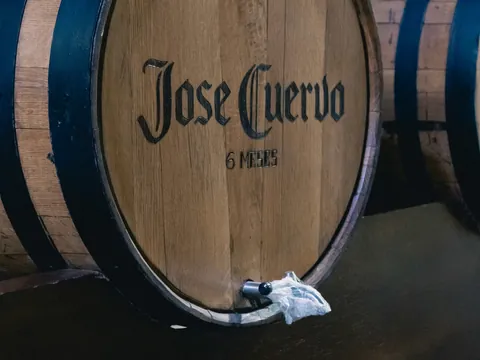 excursión Destileria Jose Cuervo desde Guadalajara