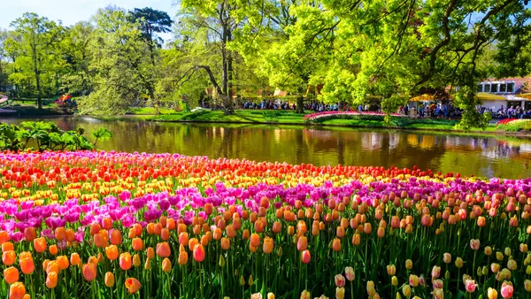 Cómo elegir entre los paseos en barco para descubrir los Jardines de Keukenhof
