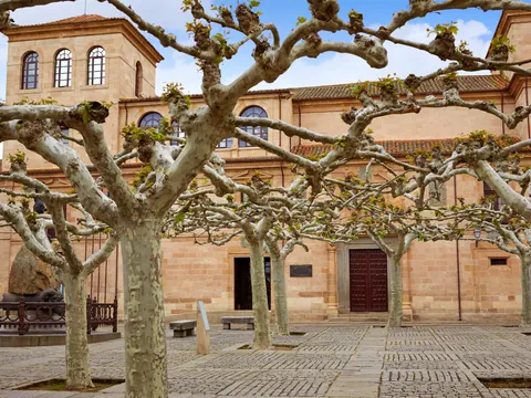 Entrelazado de árboles en la plaza de Viriato en Zamora