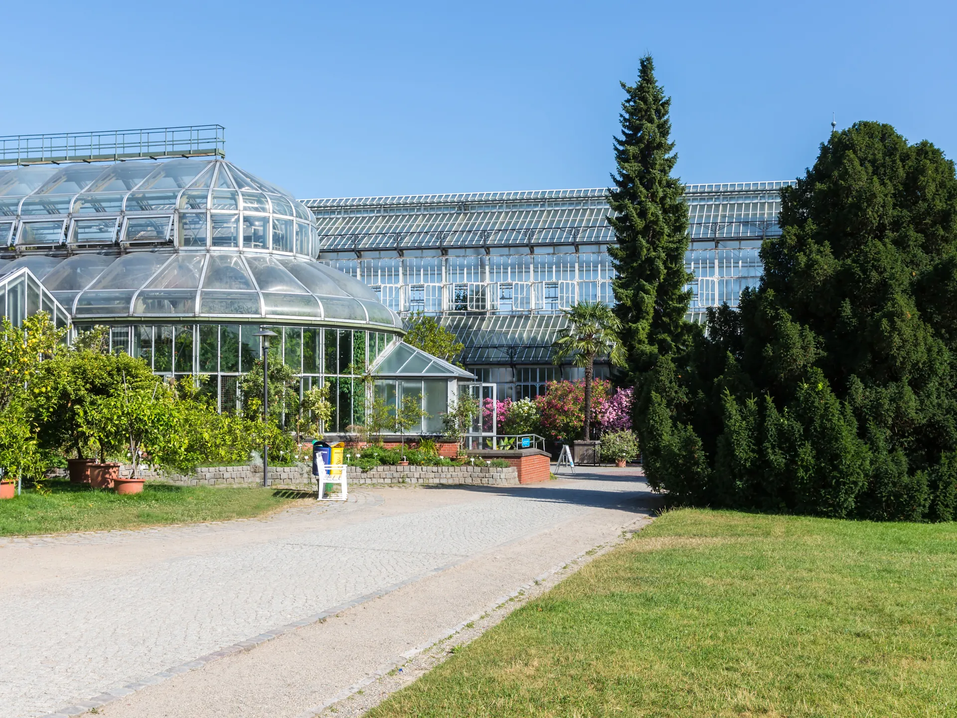Invernadero en el Jardín Botánico de Berlín