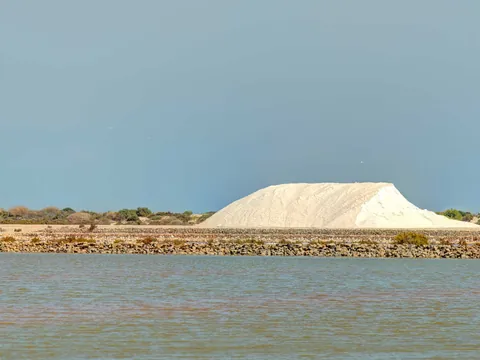 tour Guiado Salinas Torrevieja