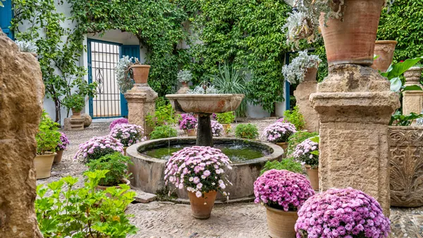 Cómo sacarle el máximo partido a tu visita a los Patios de Córdoba