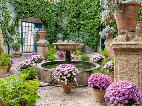Diferentes tipos de flores de colores en una casa tradicional cordobesa.