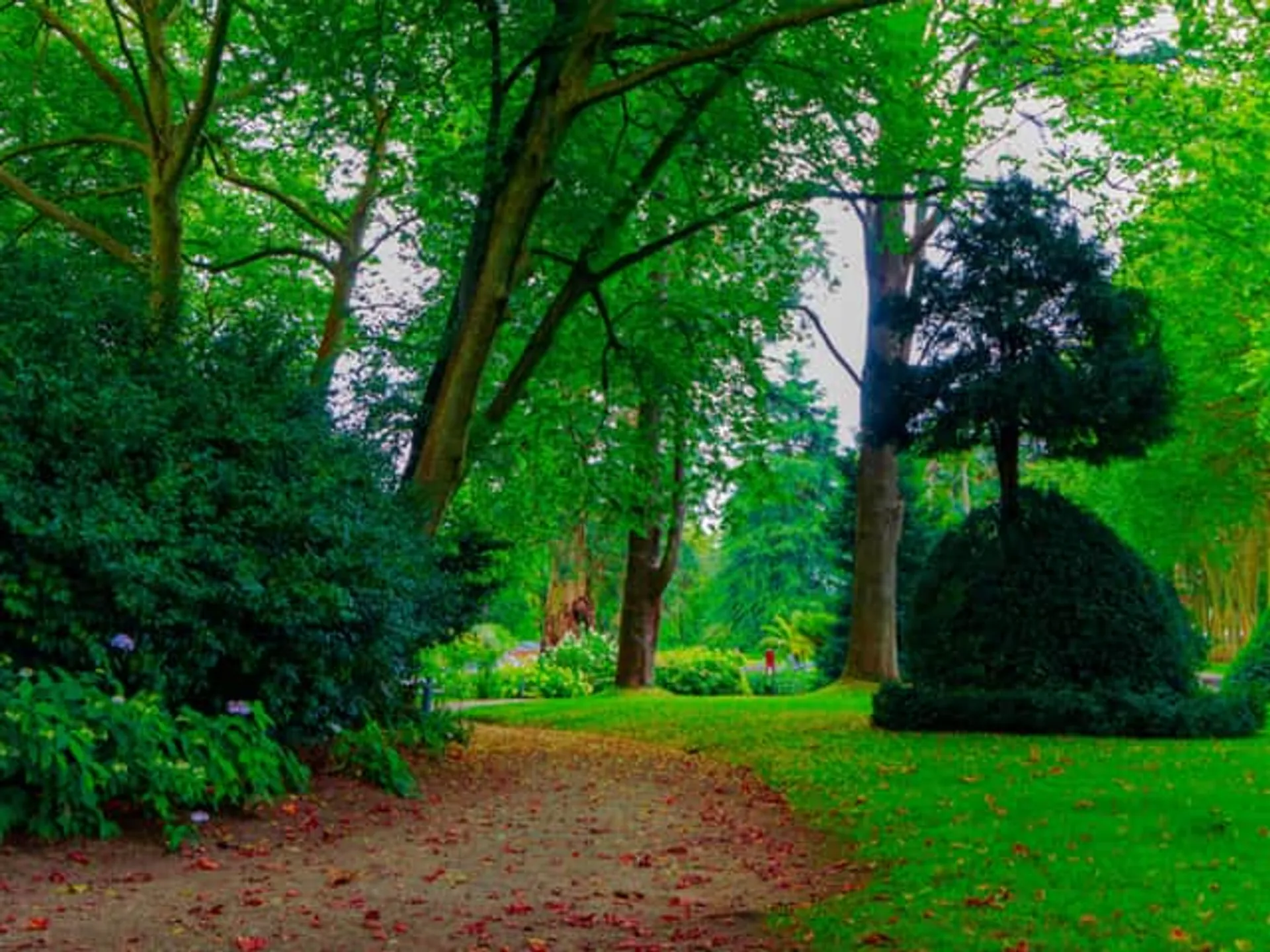 Jardín Botánico Gijón - Qué ver en Gijón - Museos de Gijón - Guía de Viajes Gijón - Buendía Tours