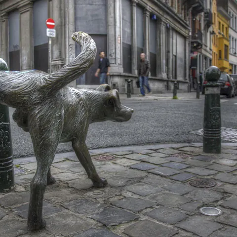 Escultura del Zinnke PisEl Perro Meón- en Bruselas-Guía Viajes Buendía Tours
