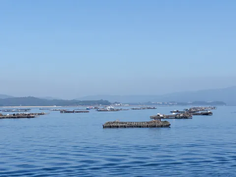 Paseo en barco por la ría de Arosa con degustación de mejillones desde Ribeira